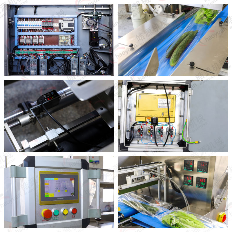 HY600S蔬菜包裝機(jī)機(jī)械細(xì)節(jié)